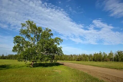 Алаас