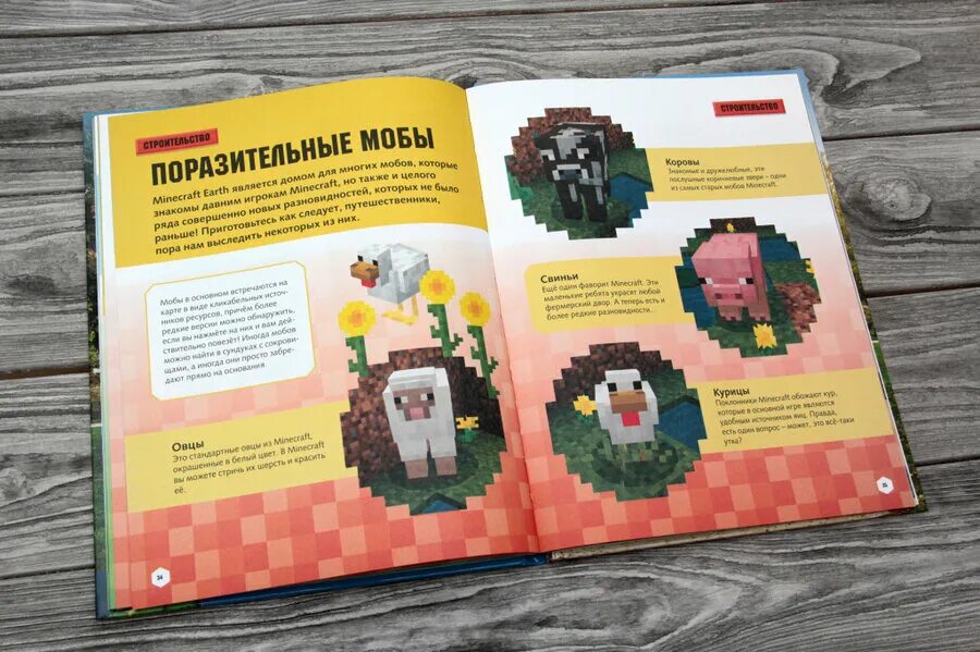 Книга все секреты minecraft моды. Minecraft книга. Электронные книги майнкрафт. Майнкрафт край книга. Книга по майнкрафту постройки.