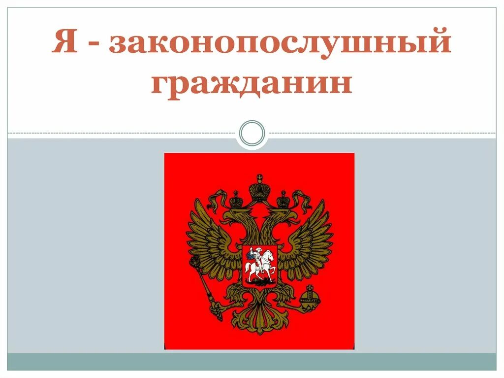 Гражданином рф запрещается. Я законопослушный гражданин. Законопослушный гражданин России. Законопослушный рисунок. Законопослушный гражданин классный час.