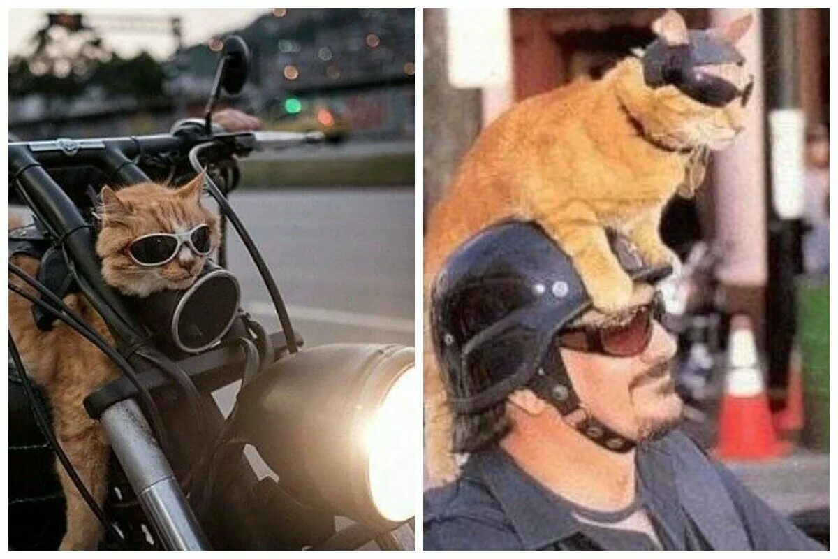 Сук я в шлеме