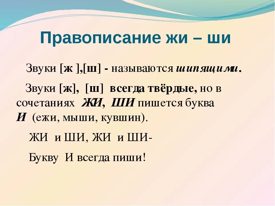 Не звучало как пишется. Буквосочетания жи ши. Правописание сочетаний жи ши. Шипящие согласные звуки. Сочетание жи ши 1 класс.