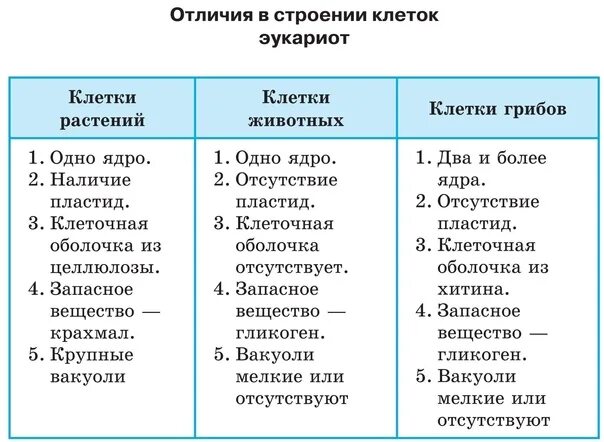 Сравнительная характеристика растений животных и грибов таблица Картинки ЧЕРТЫ СХОДСТВА РАСТИТЕЛЬНОЙ ЖИВОТНОЙ И БАКТЕРИАЛЬНОЙ КЛЕТОК
