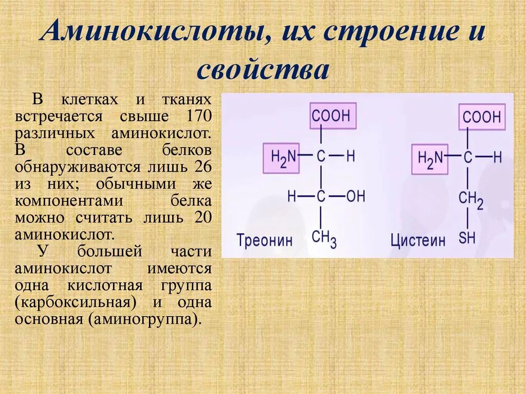 Клетки состоят из аминокислот. Структура природных аминокислот. Природные аминокислоты строение. Строение естественных аминокислот. Общая структура α-аминокислот.