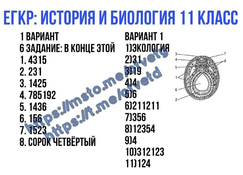 Мцко русский язык. Огэ математика 2023 77 регион. Егкр информатика 16 декабря. Пробный экзамен по русскому языку 11 класс 2023. Ответы математика 77 огэ 2023.