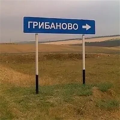 Погода в грибаново красногорского