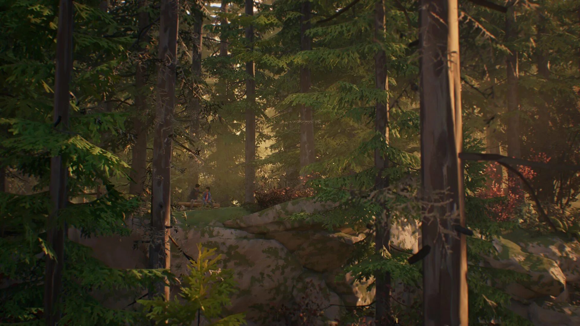 Forest 2 c. Life is Strange лес. Life is Strange 2 Forest. Life is Strange 2 лагерь в лесу. Life is Strange 2 Episode 2 Forest.
