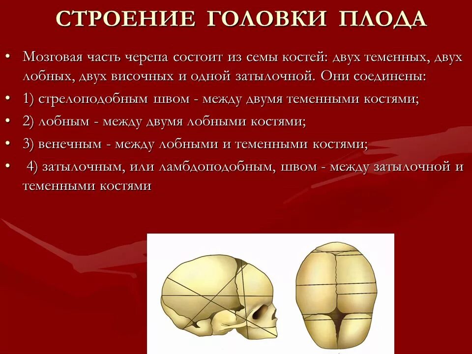 Значение родничков. Череп новорожденного Акушерство. Строение черепа плода кости швы. Строение костной головки плода (кости, швы, роднички. Череп новорожденного швы анатомия.