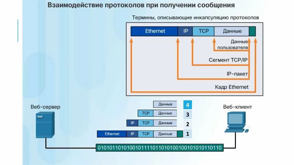 Кадры протоколов ethernet. Ethernet протокол. протокол изернет. уровень протокола ethernet. заголовок протокола ethernet.