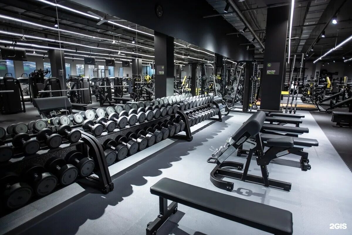 Алекс фитнес работа. Алекс фитнес волгоград. alex fitness рязань. алекс фитнес сызрань. аликсфитнесс волгоград.