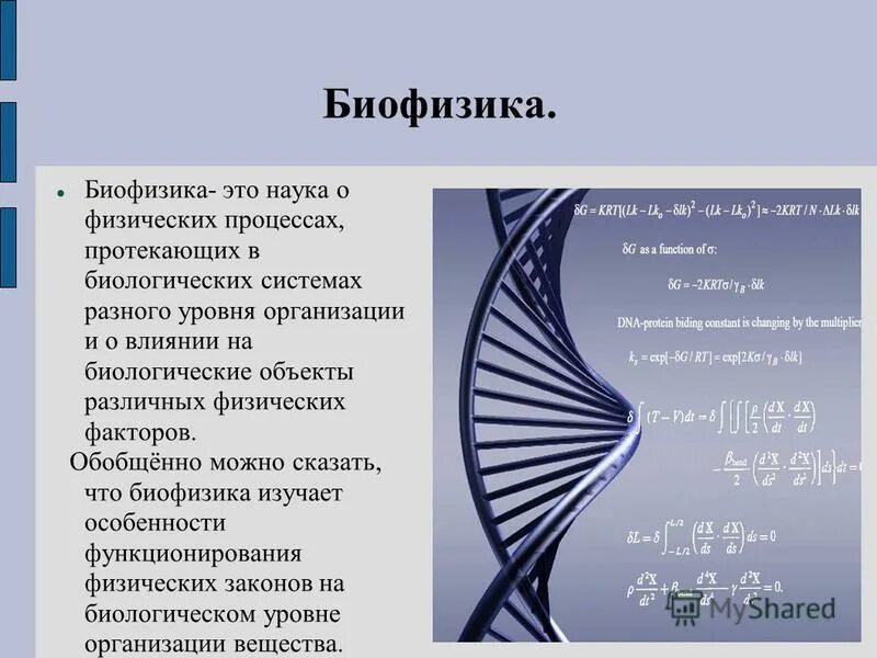 Биофизика человека. Биофизика. Что изучает биофизика. Биофизика это наука.