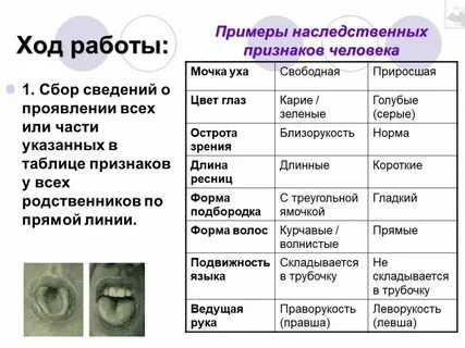 Признаки и примеры народной культуры