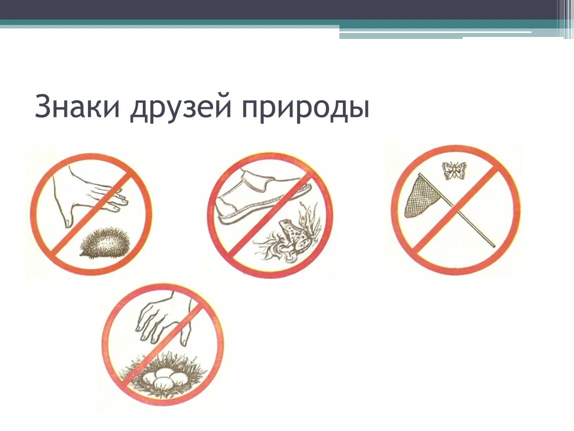 Знаки природы. Знаки друзей природы. Знаки природы для детей. Правила друзей природы знаки. Друг природы окружающий мир 2 класс