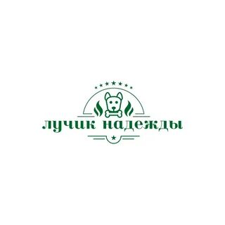 Приют лучик