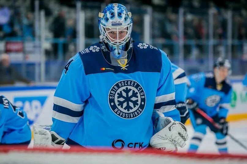 Хк сибирь красиков. Синдром существования. Социобиология книга уилсон. Красиков хоккеист. Владимира красикова.