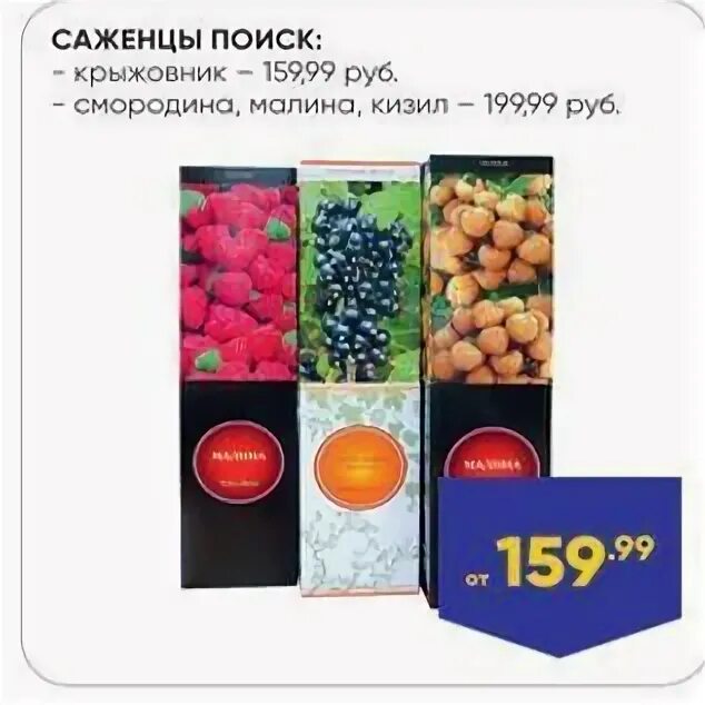 долина роз питомник. саженцы интернет магазин. сады агрофирма поиск. поиск саженцы каталог. долина роз интернет магазин.