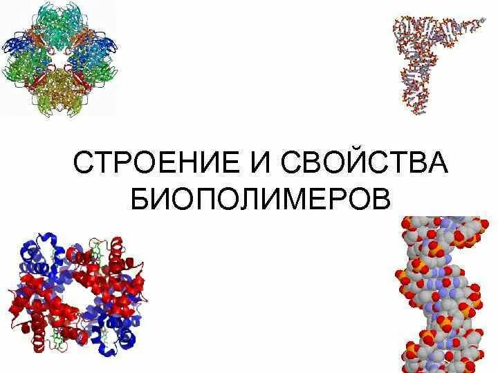 Система биополимеров. Строение биополимеров. Строение биополимеров структура. Регулярные и нерегулярные биополимеры. Биополимеры картинки.