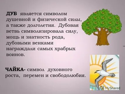Дуб является