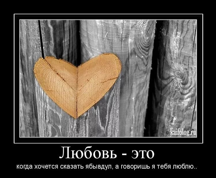 Хотела спасти любовь. Демотиваторы про жизнь и любовь. влюбиться в душу не касаясь тела. влюбиться в душу. влюбленные демотиваторы.