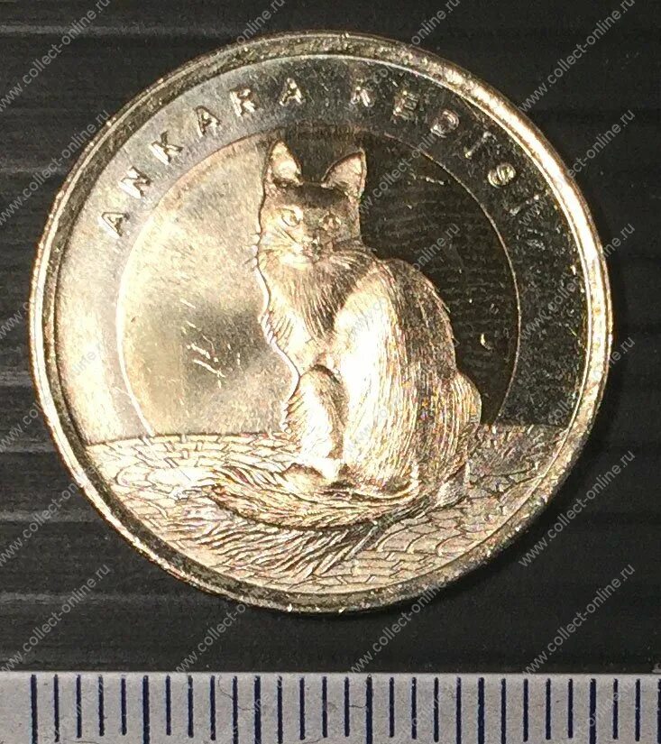 Кошка мс. Монеты Турция кошки. Лиры животные.