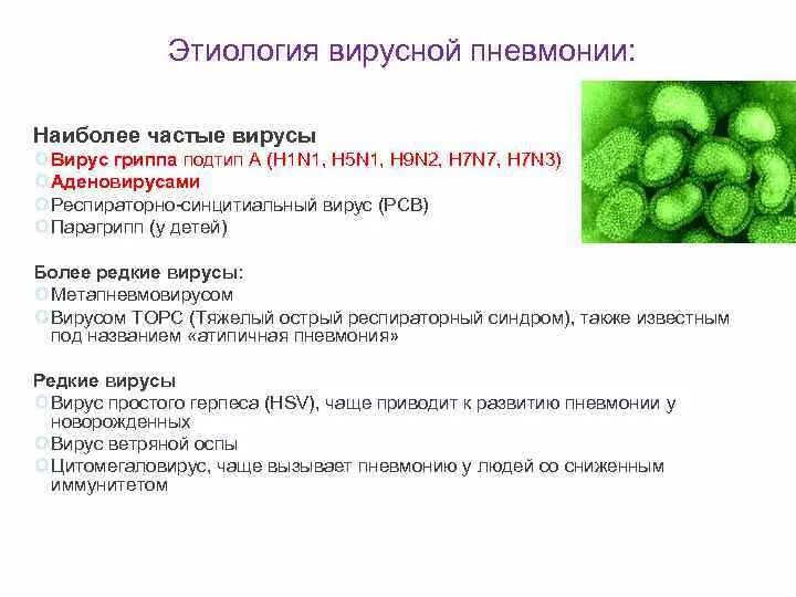 Какие возбудители вызывают пневмонию. Пневмония вирусной этиологии. Вирусы вызывающие пневмонию. Вирусные пневмонии лекция. Вирусная этиология.