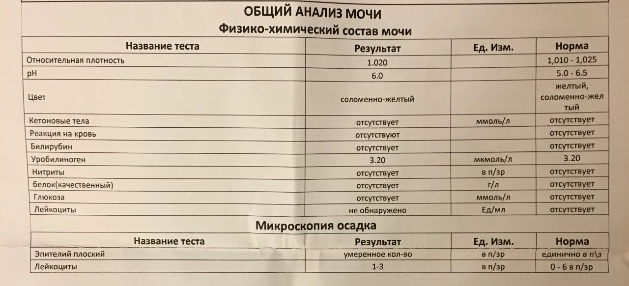 Лейкоциты качественно что это значит. Лейкоциты в моче мкл норма. Анализ мочи расшифровка у женщин норма лейкоциты. Норма лейкоцитов в моче у девочки 2 мес. Норма лейкоцитов в моче у ребенка 5 лет.