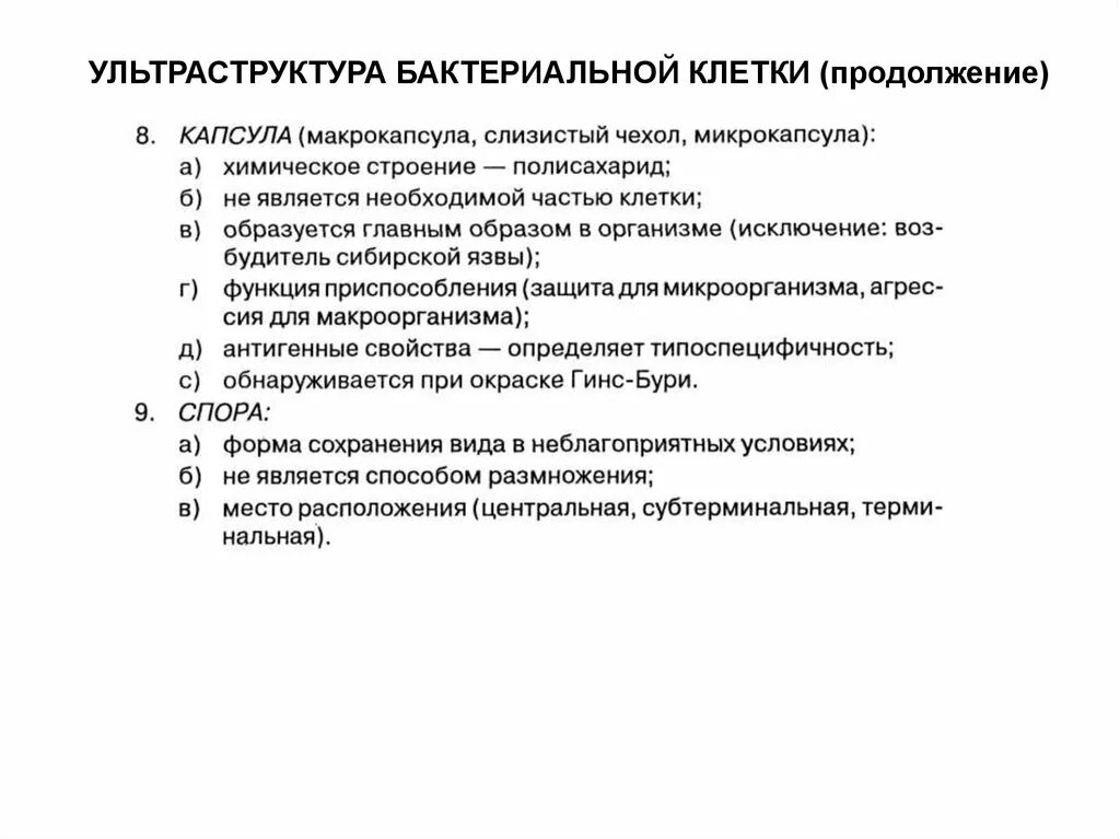 Ультраструктурная организация бактерий. Морфология бактерий. Структура и ультраструктура бактериальной клетки. Ультра структура бактериальеой клеткт. Ультраструктура бактерий нуклеоид.