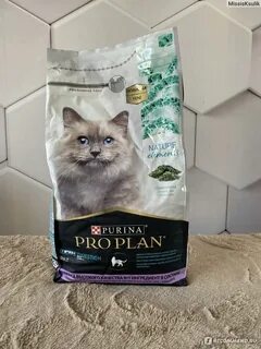 Корм kissa отзывы
