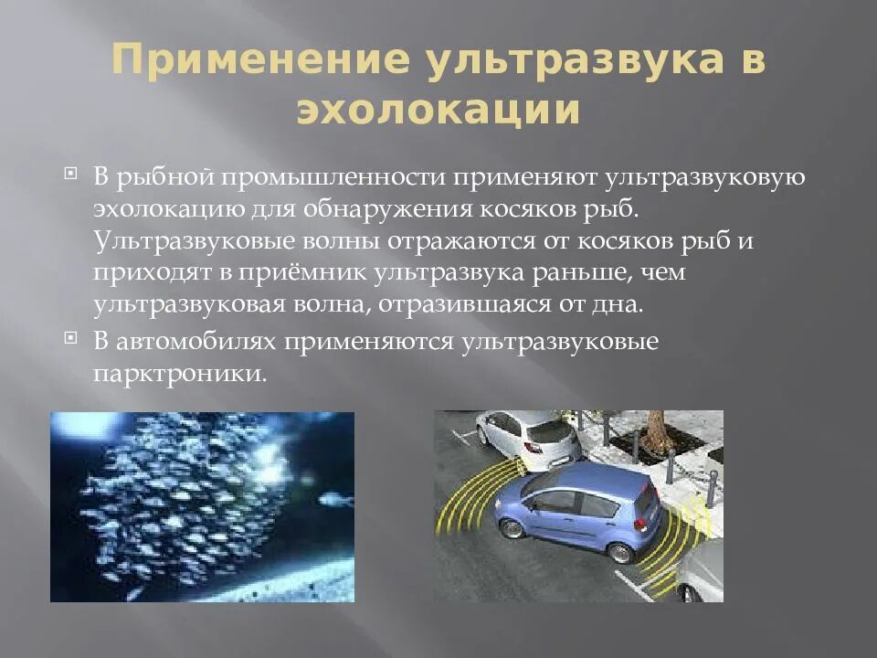 Ультразвук презентация по физике 9 класс. Применение ультразвука. ультразвук в технике. эхолокация в ультразвуковой диагностике.. применение ультразвука в технике.