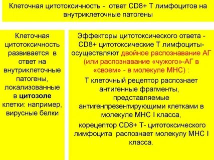Специфическая цитотоксичность