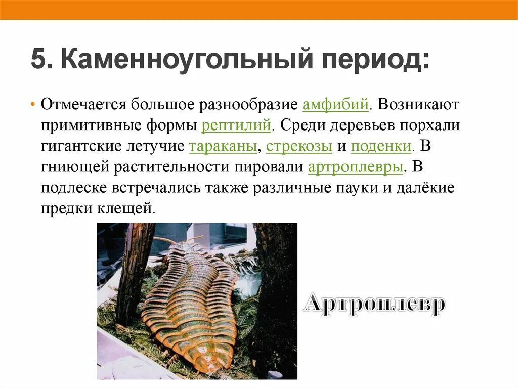 Карбон период характеристика. Палеозойская эра каменноугольный период период. Каменноугольный период климат. Каменноугольный период характеристика. Период каменноугольный событие.