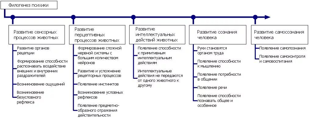 Формы филогенеза. Развитие психики в филогенезе: стадии и уровни.. Стадии психики в филогенезе. Стадии развития психики в процессе филогенеза. Стадии развития психики в филогенезе таблица.