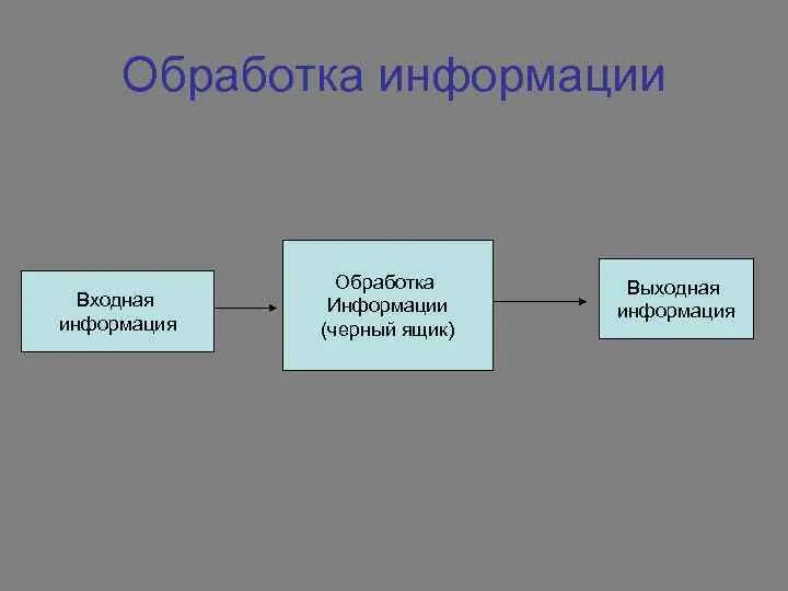 Обработка информации человеком. Обработка информации. Входная и выходная информация. Обработка информации входная выходная. Входная информация выходная информация.