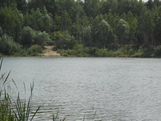 Озера татарстана. Погода чистое озеро лаишевского. Тарлаши лаишево. Погода чистое озеро лаишевского. Лаишевский атабаево пляж.