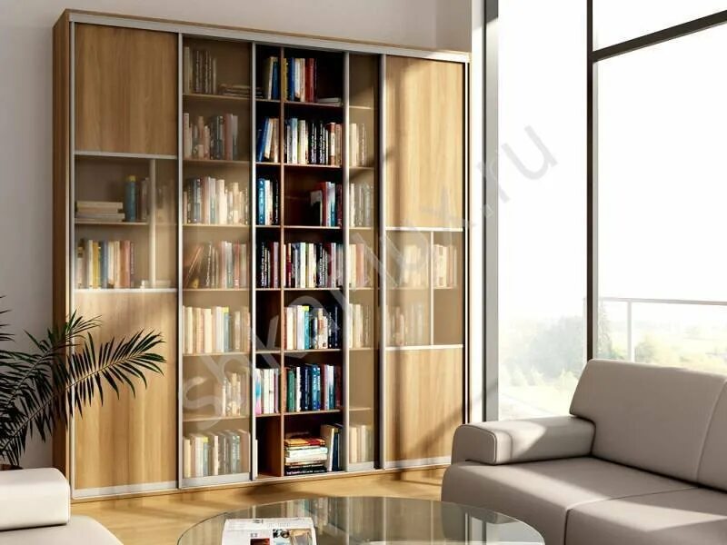 Книжный шкаф николь 3. Мебель корвет мк 51. Шкаф купе библиотека версаль. Шкаф купе с книжным шкафом. Шкаф фабиано книжный шкаф.