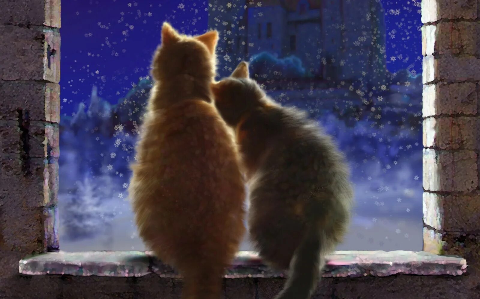 Кошки на окошке. Влюбленные котики. Кот на окне. Зимние коты.