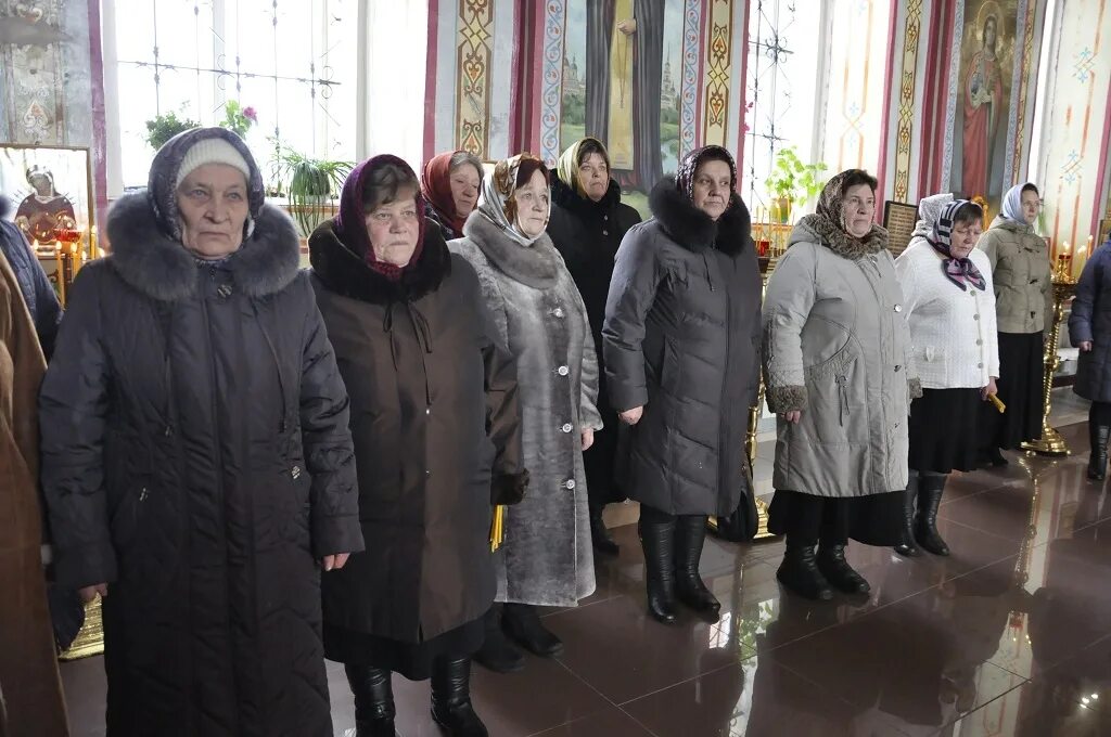 Домачи лев толстовского. Домачи лев толстовского. Домачи лев толстовского. Домачи лев толстовского. Село домачи липецкой.