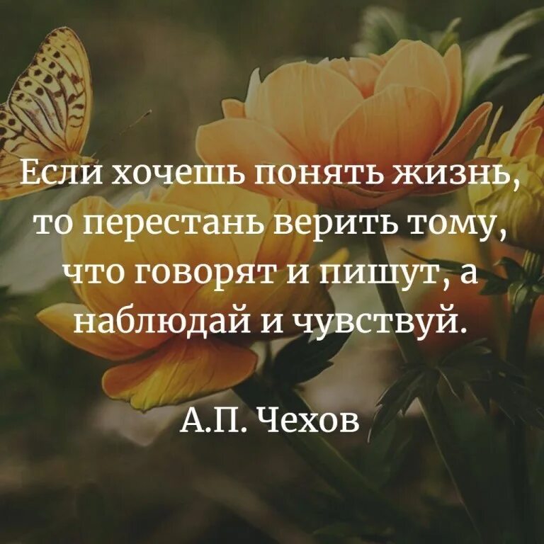 Наблюдаю цитаты. Если хочешь понять жизнь то перестань. Если хочешь понять жизнь то перестань верить тому. Чехов если хочешь понять жизнь то перестань. Верить хочу в красивое жизни понять.