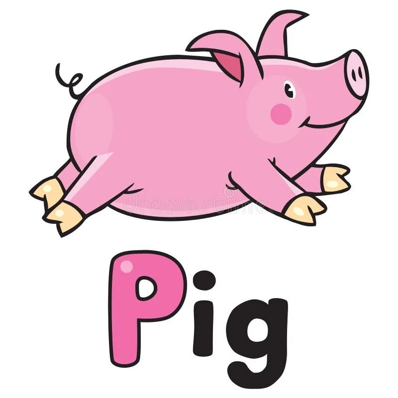 Pig word. Поросенок на английском. карточки по английскому свинья. pig карточка. свинья на англ.