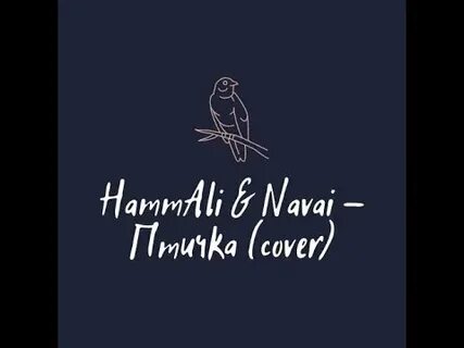 Navai птичка текст