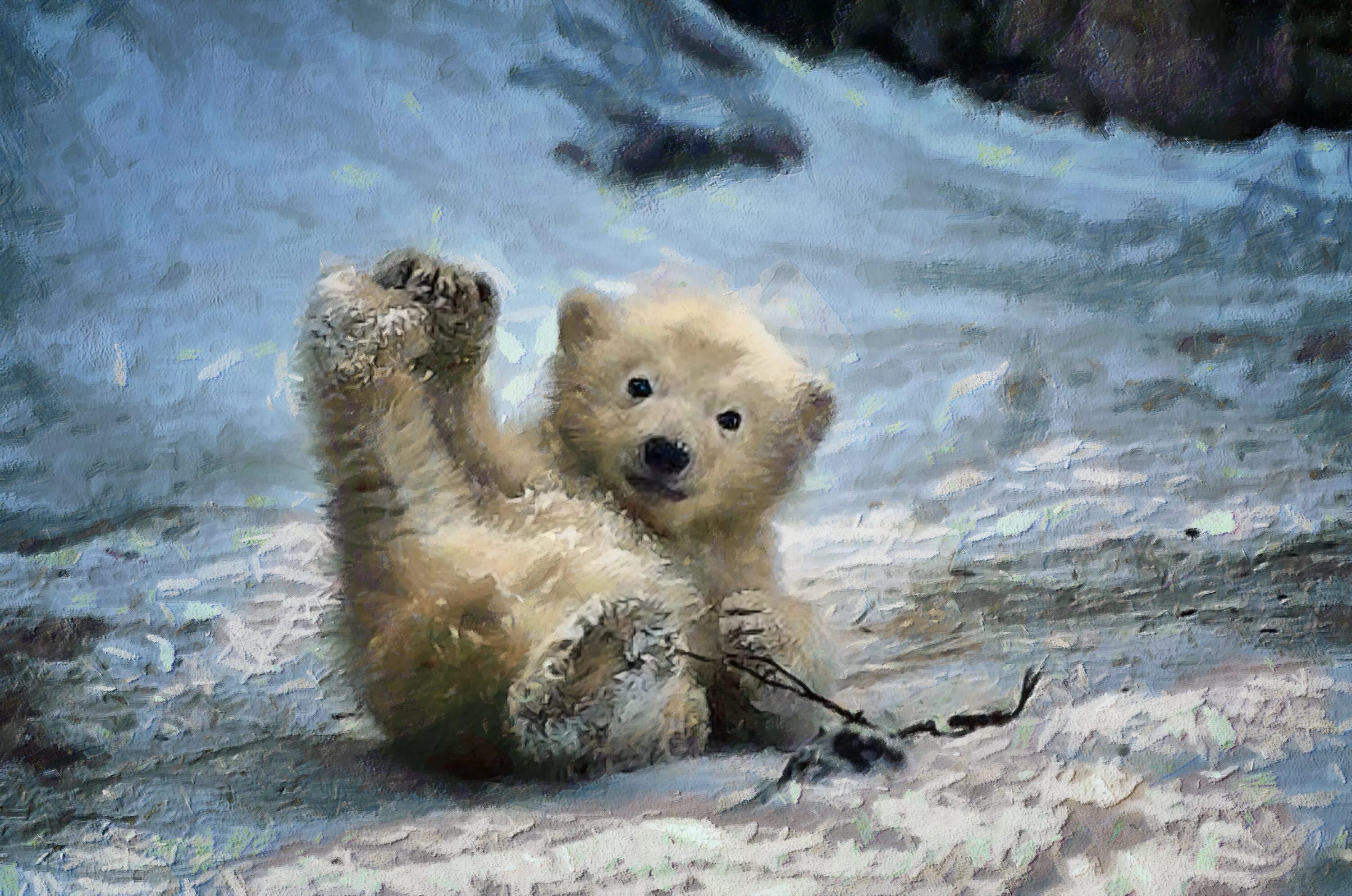 Маленький смешной медведь. Забавный маленький медвежонок. Годовалый медвежонок. Смешной медвежонок. Карликовый медведь.