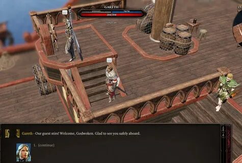Divinity original sin 2 охотник