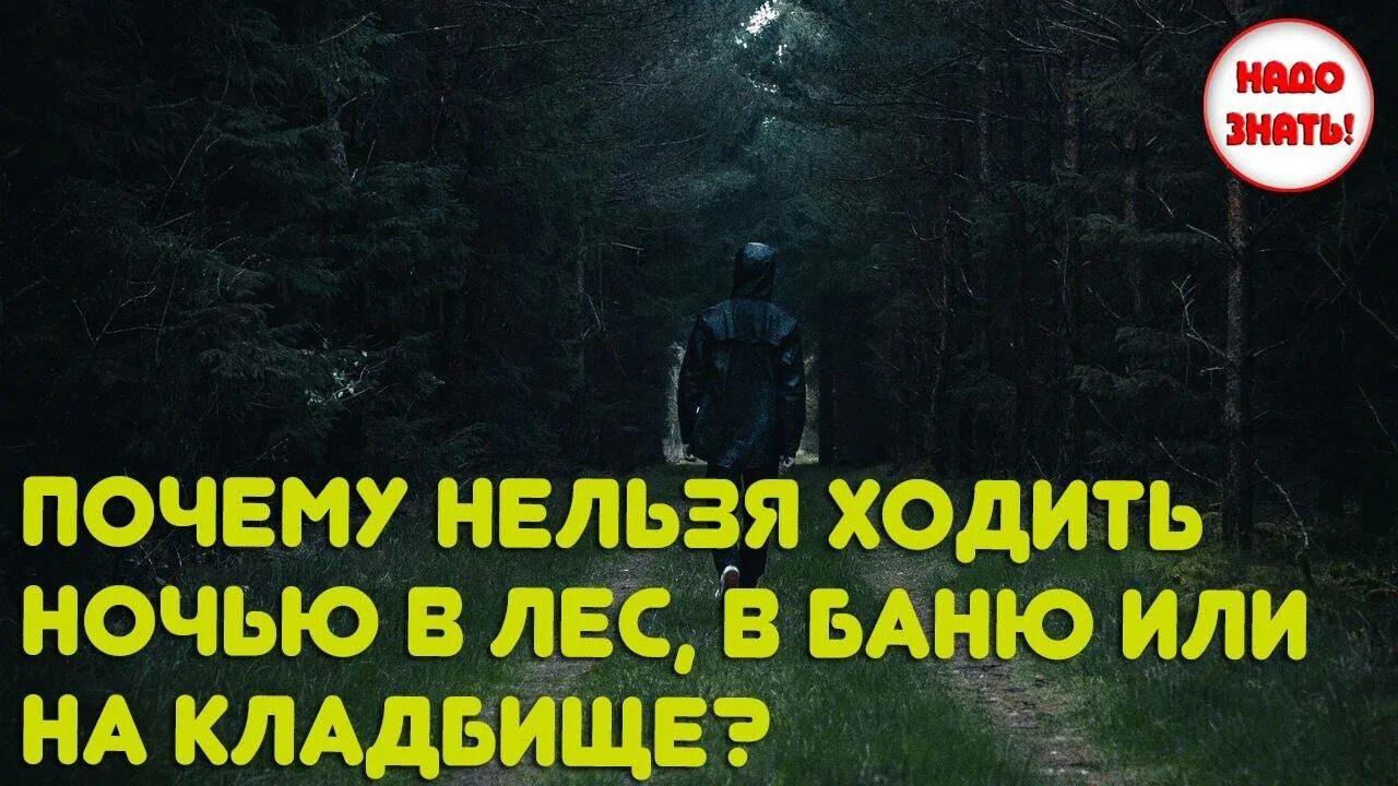 Почему нельзя ночью в баню. Ночью в лес ходить. Почему нельзя ходить в лес ночью. Нельзя ходить в лес. Почему ночью нельзя.