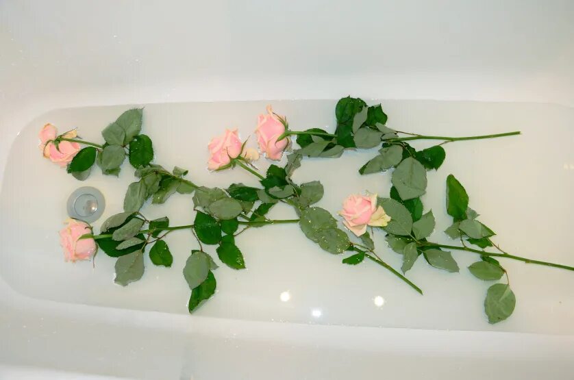 Как сохранить цветы в воде подольше