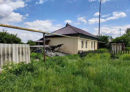 Без паев
