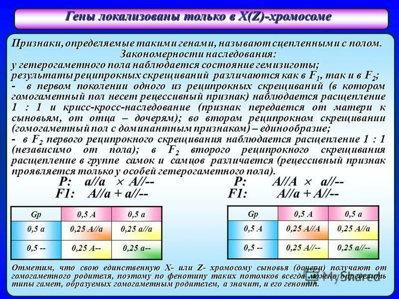 Цис положением сцепленных генов. Анализ результатов скрещивания позволяет определить сцепление. Принципы составления карт хромосом. Анализирующее скрнщив. Анализирующее скрещивание.