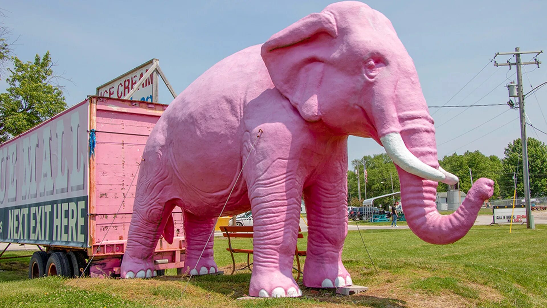 Elephant перевести. Pink Elephant Antique Mall. Pink Elephant Baku. Mick Harvey Pink Elephants. Tcot Classic Elephants.