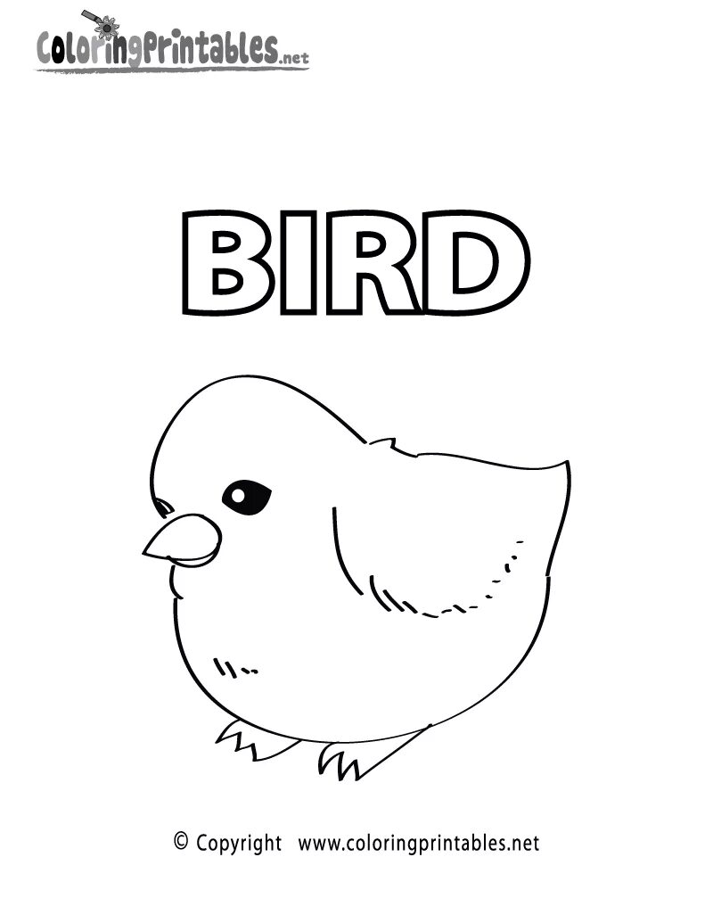 Перевести птиц на английский. Птица по-английски карточка. Карточки по английскому птичка. Птички на англ яз для детей. Раскраски птицы на английском.