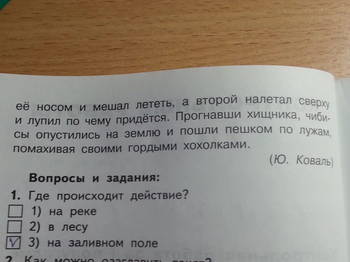 Главная мысль текста чибисы. Коваль чибисы. Ю Коваль чибисы. Ю Коваль чибисы Главная мысль. Разделить текст на 3 части про Чибиса.