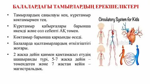 Сосуды у детей