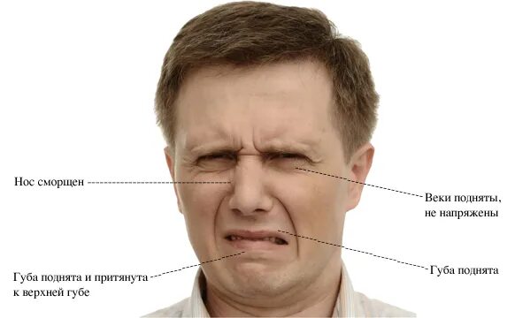 Выразить отвращение. Презрение мимика. отвращение мимические проявления. выражение лица отвращение. пренебрежение выражение лица.